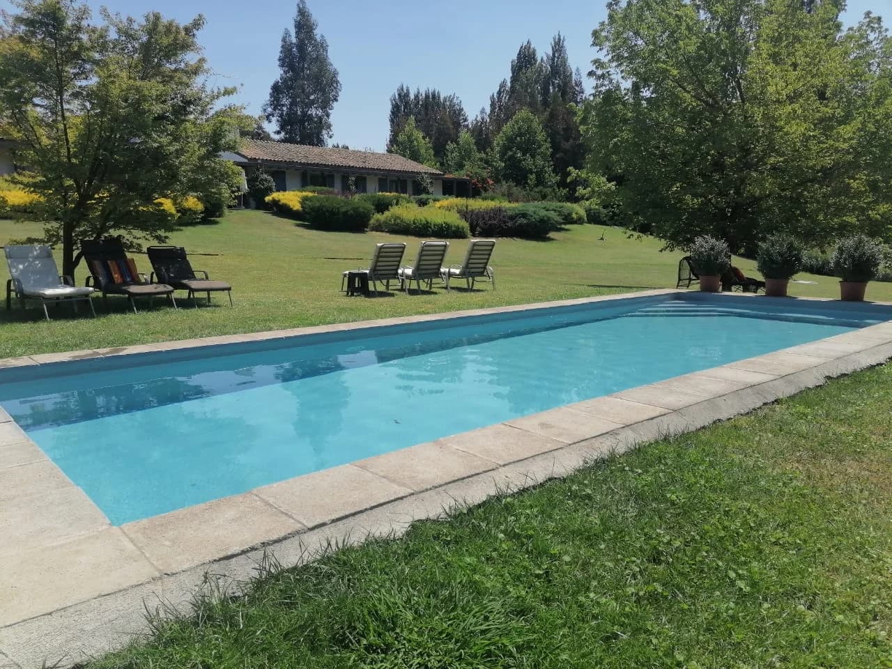 Piscina mantenida por iPool con agua limpia y entorno residencial
